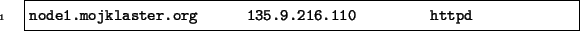 \begin{code}
node1.mojklaster.org 135.9.216.110 httpd
\end{code}