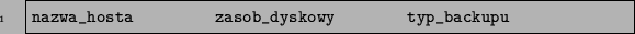 \begin{code}
nazwa_hosta zasob_dyskowy typ_backupu
\end{code}